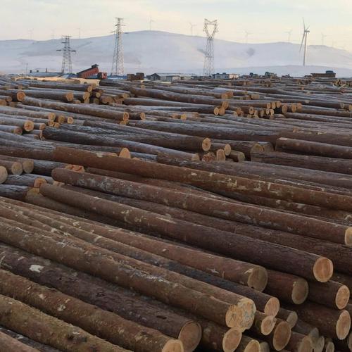 木制品贸易是一家专业从事建材产品经营研发,生产,销售为一体