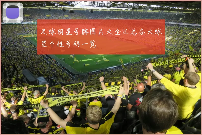 足球明星号牌图片大全汇总各大球星个性号码一览