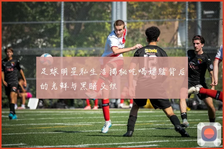 足球明星私生活揭秘吃喝嫖赌背后的光鲜与黑暗交织