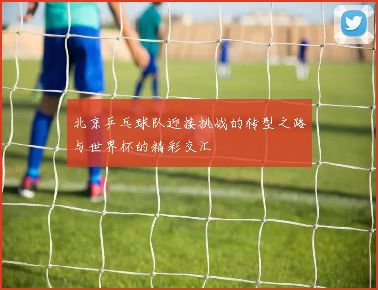 北京乒乓球队迎接挑战的转型之路与世界杯的精彩交汇