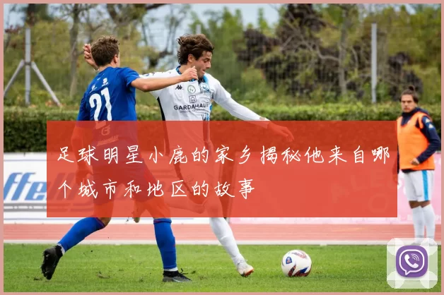 足球明星小鹿的家乡揭秘他来自哪个城市和地区的故事