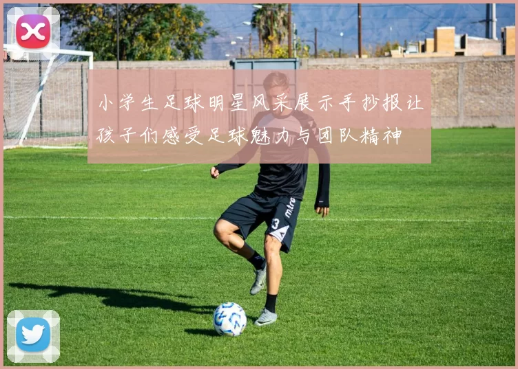 小学生足球明星风采展示手抄报让孩子们感受足球魅力与团队精神