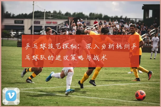 乒乓球技艺探秘：深入分析杭州乒乓球队的进攻策略与战术