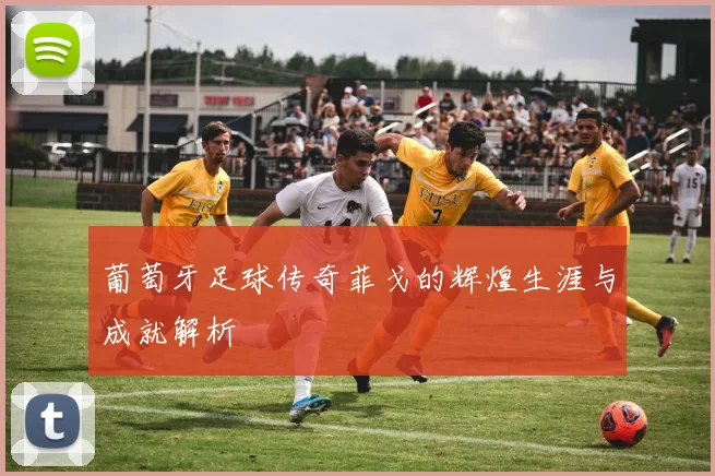 葡萄牙足球传奇菲戈的辉煌生涯与成就解析