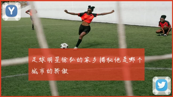 足球明星徐弘的家乡揭秘他是哪个城市的骄傲