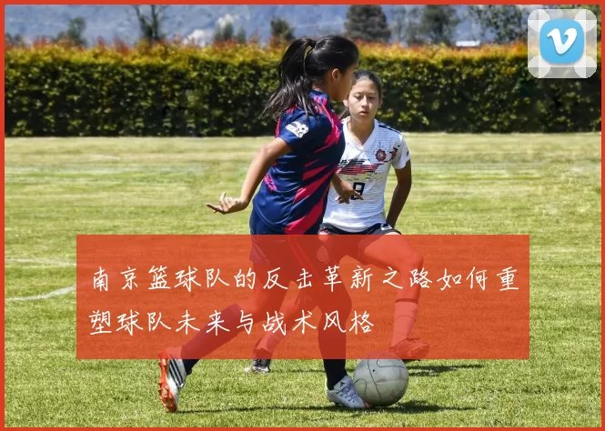 南京篮球队的反击革新之路如何重塑球队未来与战术风格