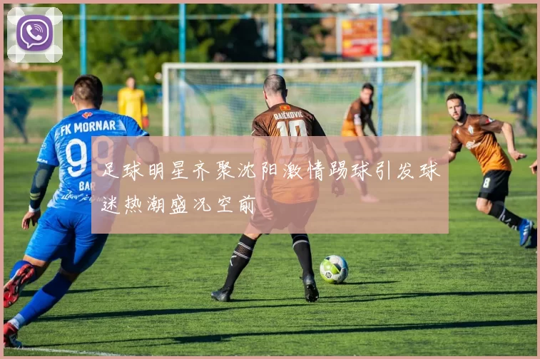 足球明星齐聚沈阳激情踢球引发球迷热潮盛况空前