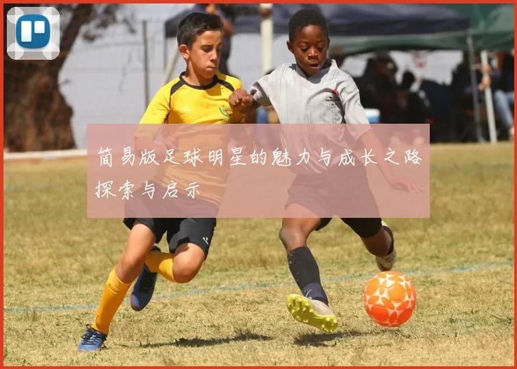 简易版足球明星的魅力与成长之路探索与启示