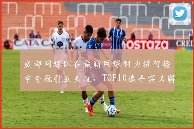 成都网球队在最新网球耐力排行榜中夺冠引发关注，TOP10选手实力解析
