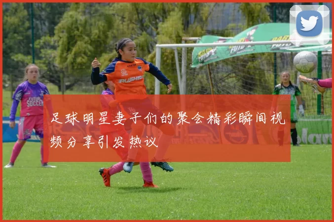 足球明星妻子们的聚会精彩瞬间视频分享引发热议